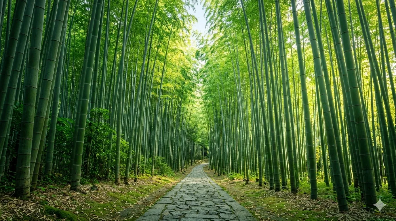 Arashiyama Bamboo Grove / 嵐山竹林