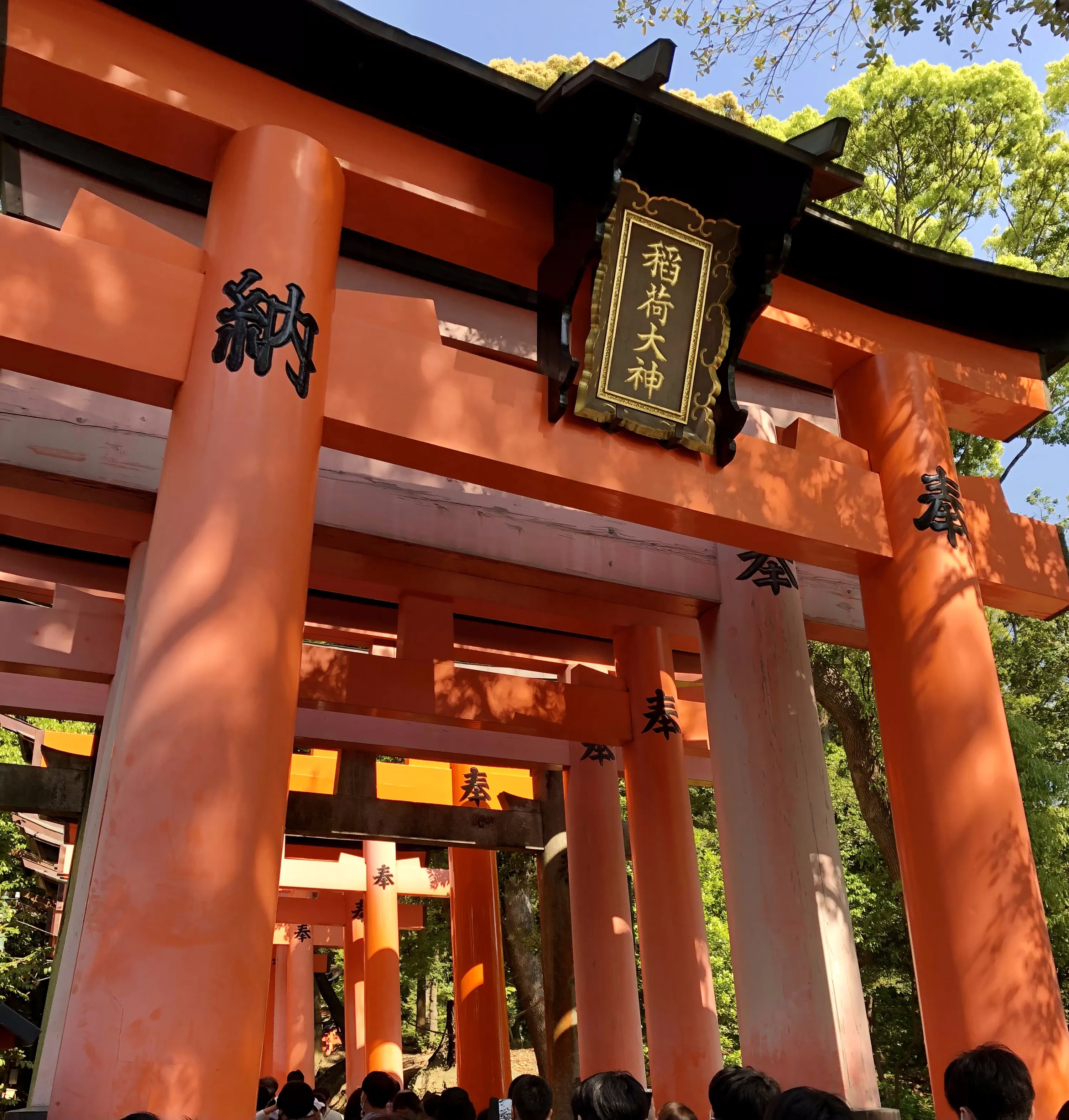 Fushimi Inari Taisha torii gates / 伏見稲荷大社の鳥居